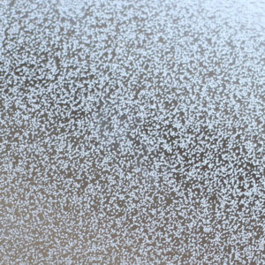 星屑_Star Dust