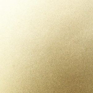 チタンラグ(Titanium Rug)シャンパンゴールド